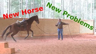 This new horse has different problems that what I've had recently.