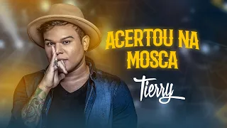 Tierry - Acertou na Mosca (DVD Histórias Roubadas)