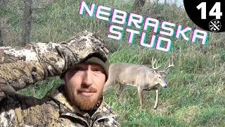 Whitetail Hunting Nebraska | Nebraska Stud at 20 Yards!! | Archery Deer