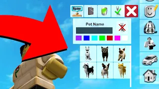 PETS in Roblox Brookhaven 🏡RP