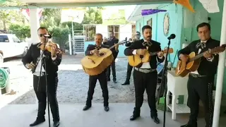 "Las mañanitas" Mariachi Mexicalense