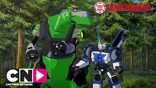 Dinosaur Running Free | Transformers Robots in Disguise | Cartoon Network