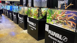 Are these the BEST AQUASCAPES in THE WORLD?!! *Tour*