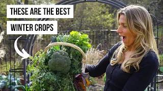 11 Frost-Resistant Vegetables to Grow in Winter
