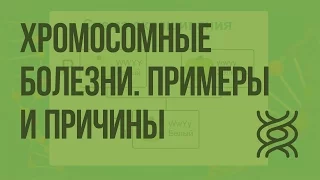 Хромосомные болезни. Примеры и причины. Видеоурок по биологии 10 класс