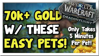 Make 70k+ Gold w/ These Easy to Get Dragonflight Pets!! |  Dragonflight | WoW Gold Making Guide