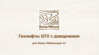 Газлифт GTV PD-GAM для Базис Мебельщик