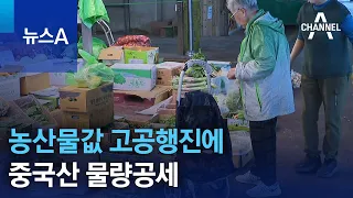 농산물값 고공행진에…중국산 물량공세 | 뉴스A