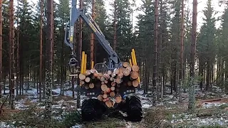 Rottne F11D forwarder in thinning. First sold with Rottne Crane Assistance