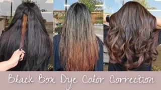 Black Box Dye Hair Color Correction - FULL CORRECTION FROM BLACK TO BROWN HAIR