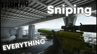 I Sniped EVERYTHING on Interchange - Escape From Tarkov