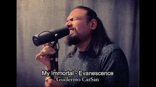 My Immortal - Evanescence | Guillermo CarSan Cover