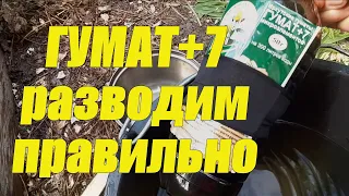 КАК СДЕЛАТЬ маточный раствор ГУМАТА +7  🍀 Как сделать  раствор ФИТОСПОРИНА 🍀  ПОДКОРМКА ОГУРЦОВ