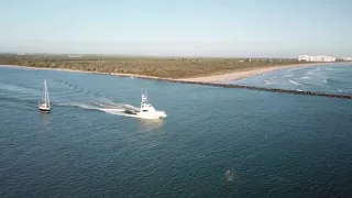 Surfer falls on SHARK!!! | SHARK ATTACK!!!! | Drone Footage