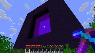 I Built Minecraft's Largest Nether Portal