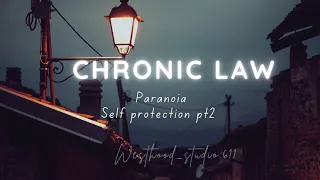 Chronic Law _ Paranoia (Self Protection pt2) lyrics video