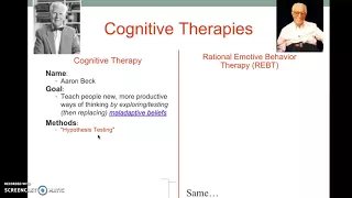 Cognitive Therapies: CBT & REBT