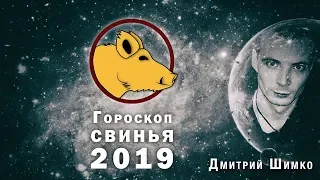 Гороскоп Кабан -2019. Астротиполог, Нумеролог - Дмитрий Шимко