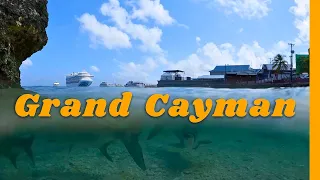 We Recommend Doing This! (Grand Cayman - Cayman Islands)