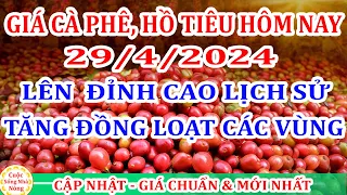 Giá cà phê hôm nay ngày 29/4/2024 | giá cà phê TĂNG ĐỒNG LOẠT CÁC ĐỊA PHƯƠNG