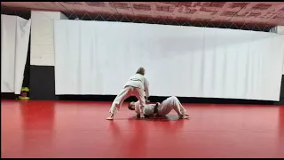 Programa Jiujitsu Japonés. Kata 2º kyu. Cinturón azul. Katame Jitsu No Kata.