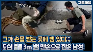 [구루마블] 뱀계의 강형욱 등장, 야생 뱀들의 안전을 책임진다! / YTN