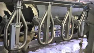 Germany DeLaval - Champion™ Parallelmelkstand