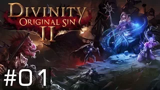 DIVINITY: ORIGINAL SIN 2 | #01 | Ein wahrer Rollenspiel Traum [PC/GAMEPLAY/DEUTSCH]