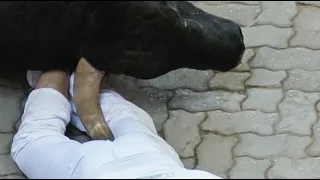 Un herido por asta de toro en el sexto encierro de San Fermín