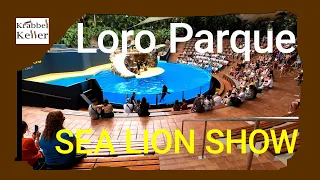 LORO PARQUE Tenerife, SEALION SHOW 2022