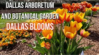 DALLAS BLOOMS: Dallas Arboretum and Botanical Garden