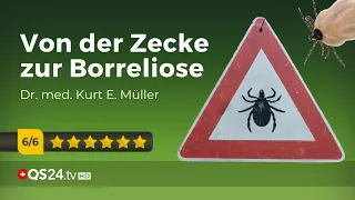 Borreliose – die unterschätzte Gefahr | Dr. med. Kurt E. Müller | Naturmedizin | QS24