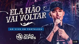 João Gomes ela não vai voltar letra legenda tradução