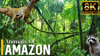 Amazon Jungle Animals 8K ULTRA HD | Ultimate Wildlife, Nature Forest With Real Sounds