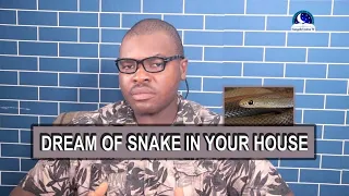 SNAKE IN HOUSE DREAM - Find Out The Biblical Dream Meaning