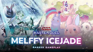 MELFFY ICEJADE⁉️ - Most Consistent Icejade version⁉️ [Yu-Gi-Oh! Master Duel]