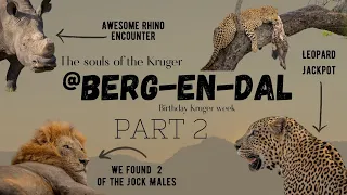 Kruger National Park - Berg-en-dal Rest Camp | Birthday Trip Part 2 ⛺️