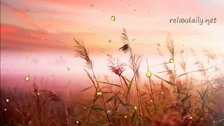 Instrumental Background Music relaxdaily B Sides N°2 for concentration, studying, relaxing