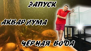 Запуск аквариума 540 литров.  Биотоп Амазонки.  Чёрная вода.