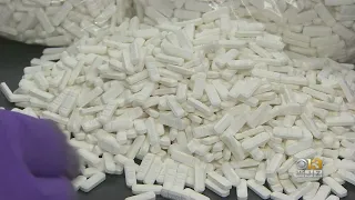 Death Toll From Opioid Related Overdoses Down, Data Finds