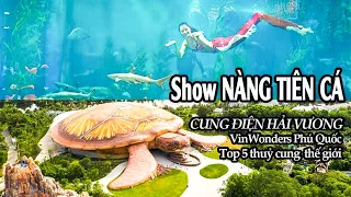 Thú vị Nàng Tiên Cá ở Cung điện Hải Vương VinWonder | Thủy cung Vinpearl Phú Quốc Top 5 thế giới