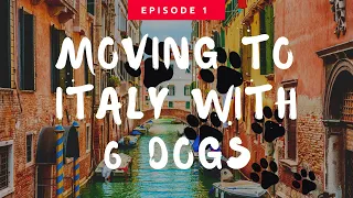 Moving to Italy with 6 dogs + bloopers VLOG