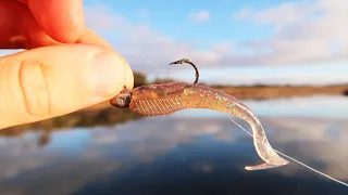 This Lure Saves A Horrible Day Fishing!?!