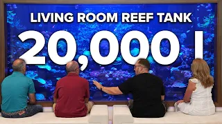 This is a 20,000 liter PRIVATE REEF TANK in Miami *with JEFF TURNER*