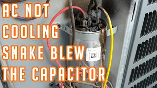 AC Not Cooling Snake Blew The Capacitor