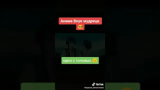 АНИМЕ ВНУК МУДРЕЦА 2