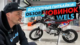 НОВЫЕ доступные ПИТБАЙКИ WELS 2023. Обзор новинок. Для школьника и взрослого. Новая графика.