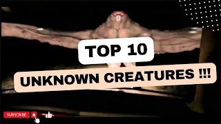 Top 10 Unknown Creatures in the World | Cryptids, Mythical Beasts, and More ||