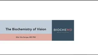 Biochemistry of Vision