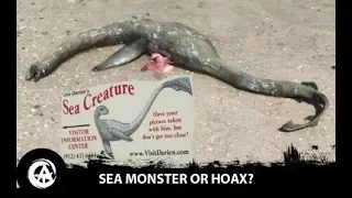 Georgia's own Loch Ness Monster Update (DNA Results?)